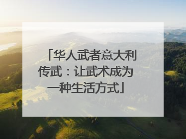 华人武者意大利传武：让武术成为一种生活方式